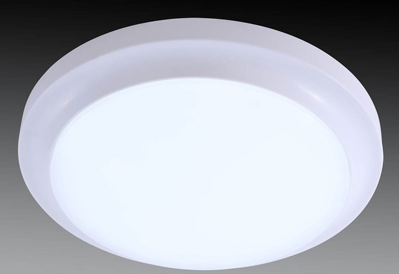 Ceiling light